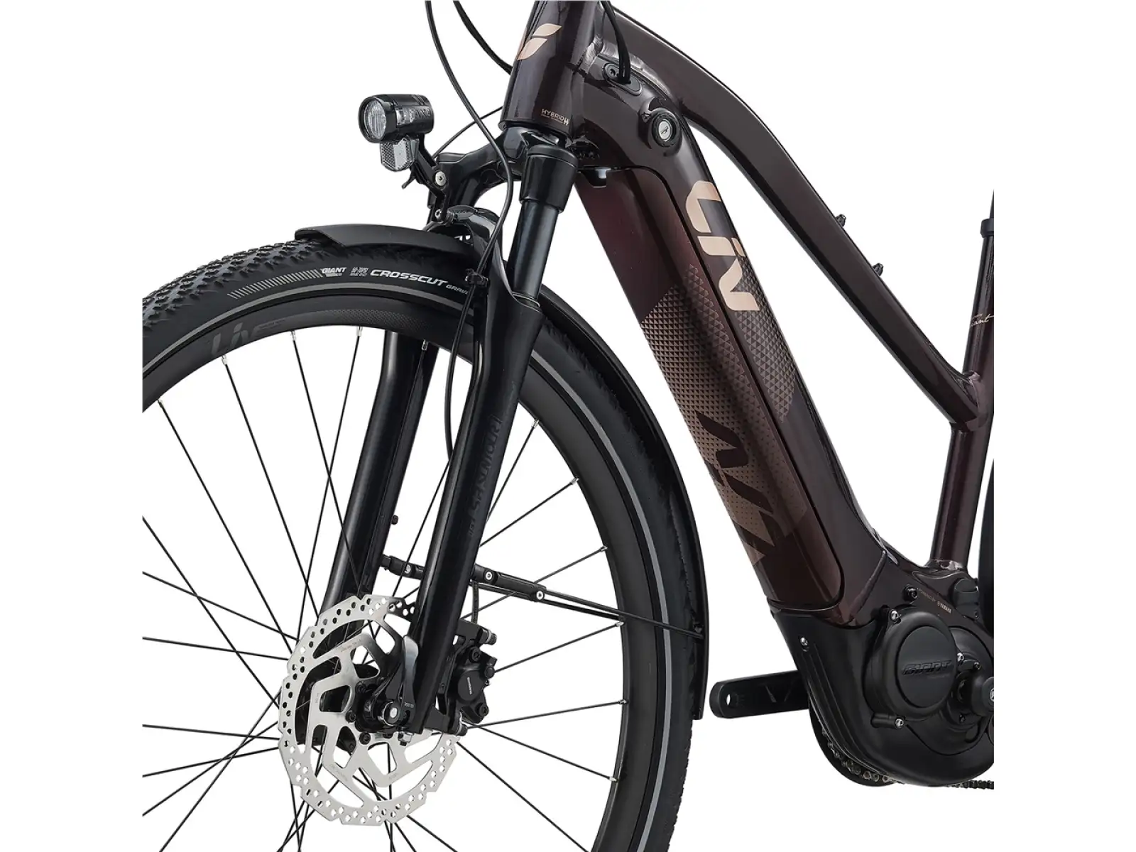 Liv Amiti E+2 trekking e-bike rosewood