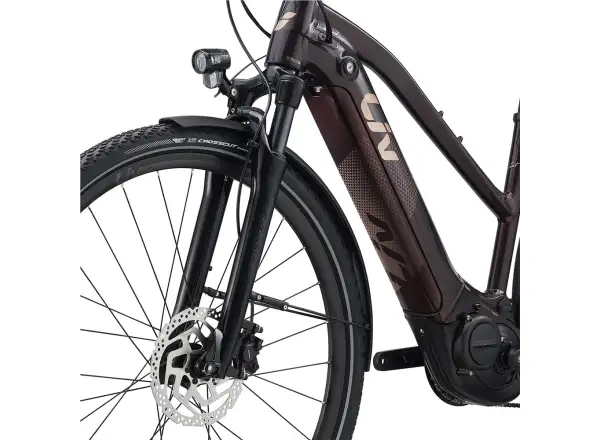 Liv Amiti E+2 trekking e-bike rosewood