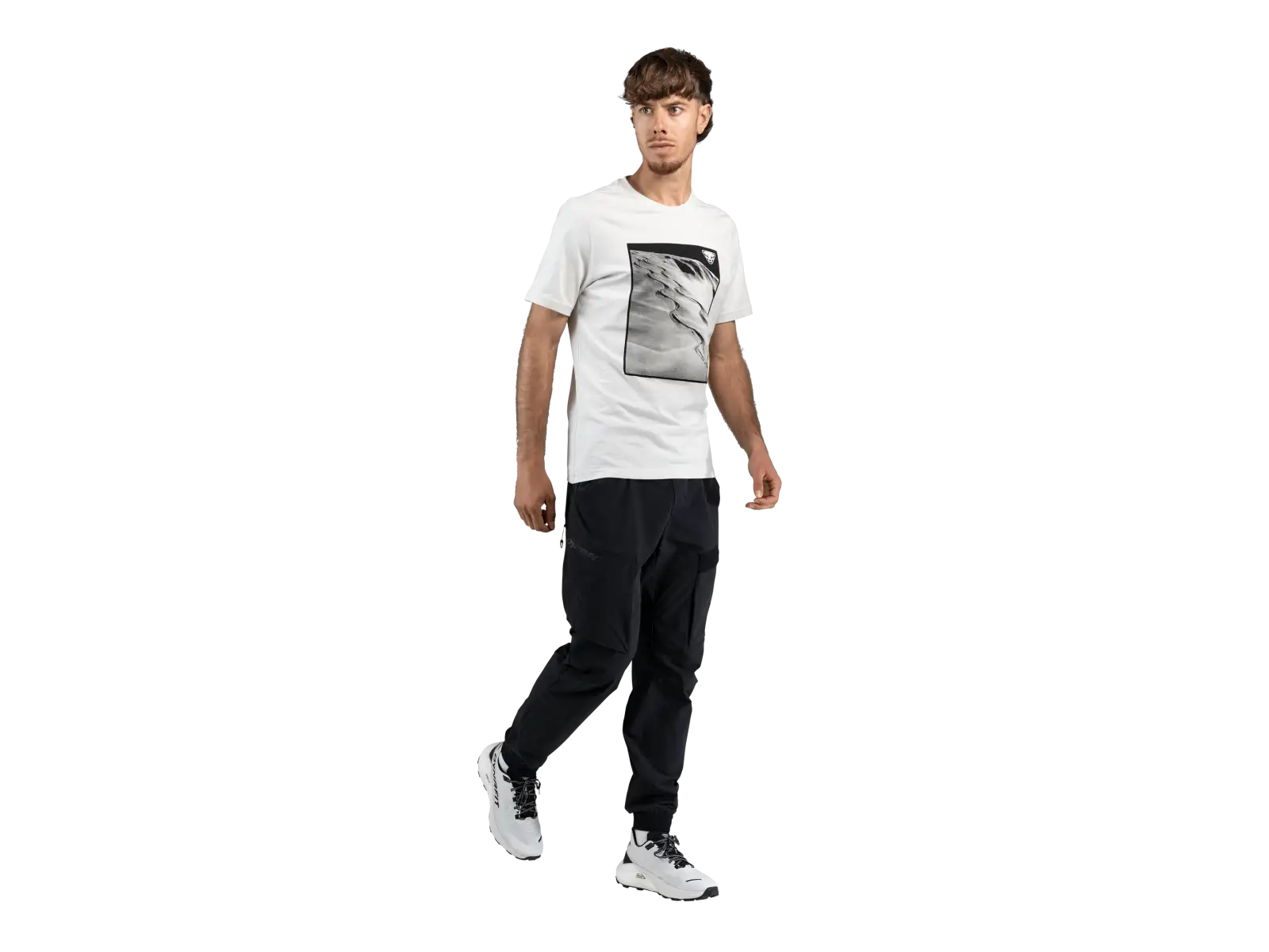 Dynafit Graphic Cotton men's T-shirt short sleeve Nimbus/First Track