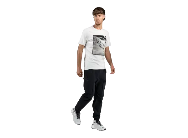 Dynafit Graphic Cotton men's T-shirt short sleeve Nimbus/First Track