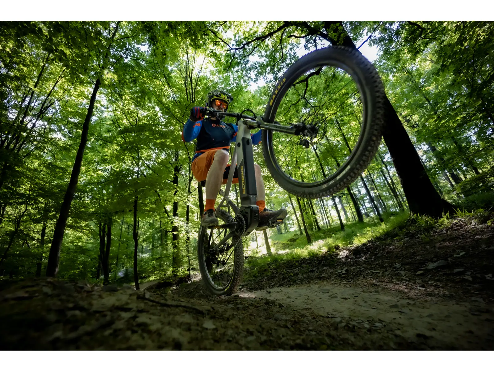 Ecobike Mauler 720 Wh mountain e-bike