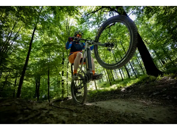 Ecobike Mauler 720 Wh mountain e-bike