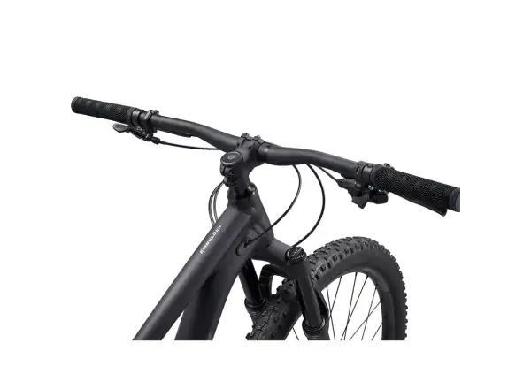 Liv Embolden 29 1 mountain bike Matte Black