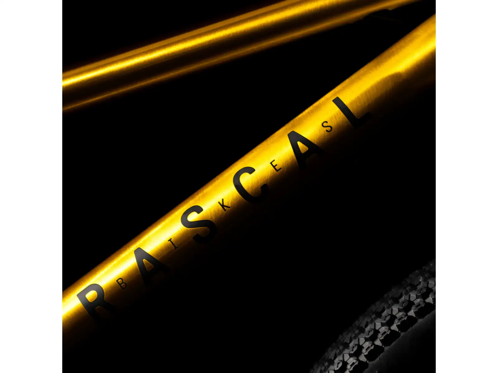 Rascal 20 children's bike Gold