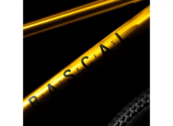 Rascal 20 children's bike Gold