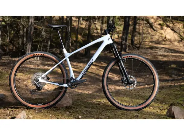 Rock Machine Blizz Cr 70 mountain bike Gloss Limerock Grey