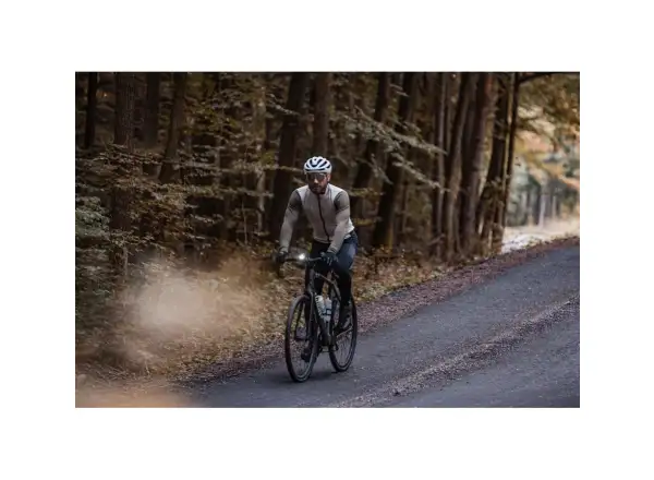 Force Strive cycling glasses transparent/black mirrored lens
