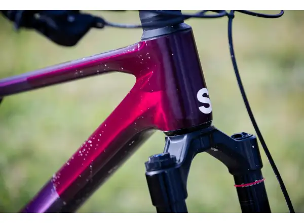 Superior XF 9.7 DC mountain bike Matte Berry Carbon