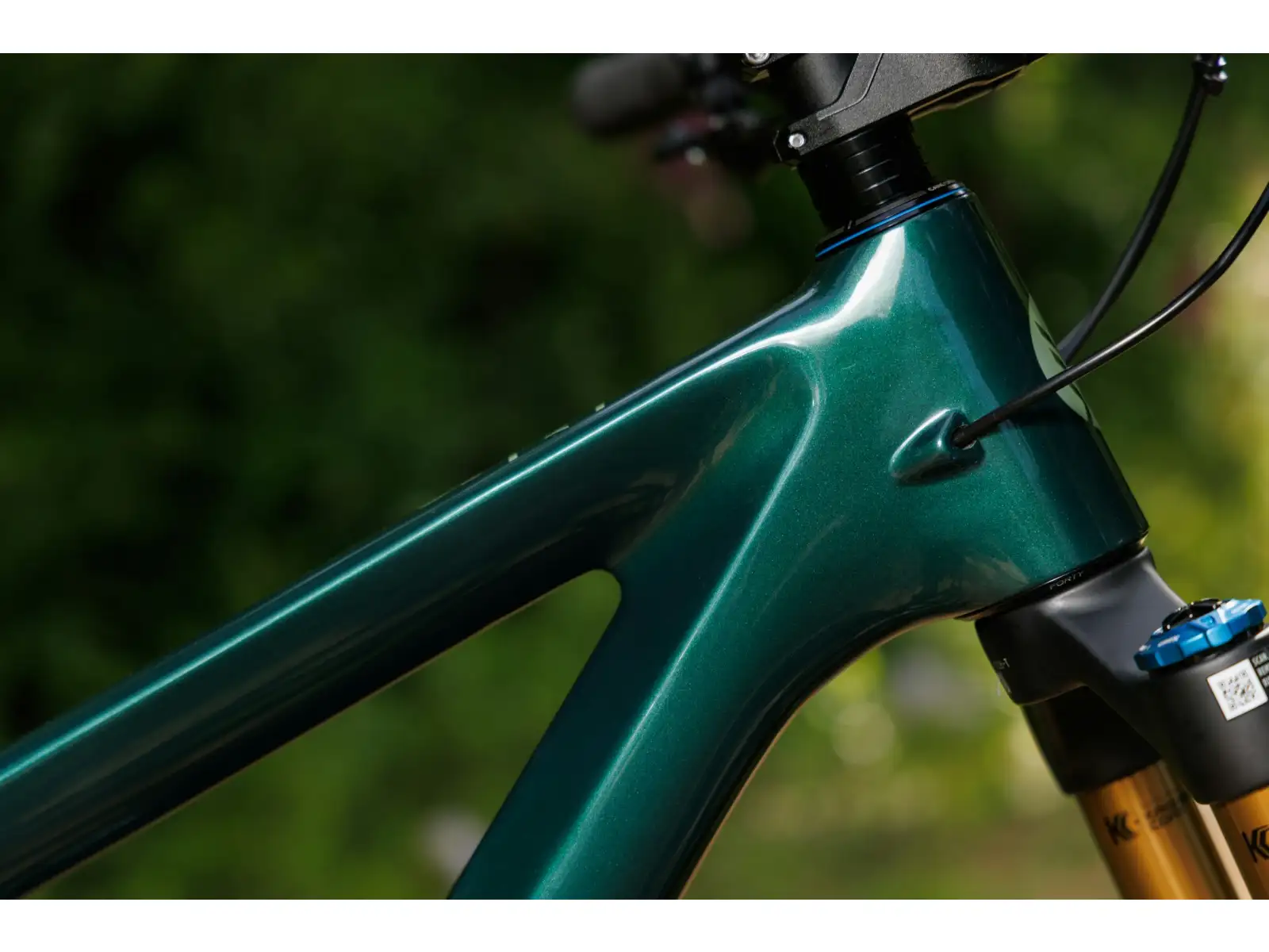 Ibis Ripley V5 frame set Green Flash