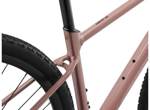 Liv Thrive GX fitness bike petra clay