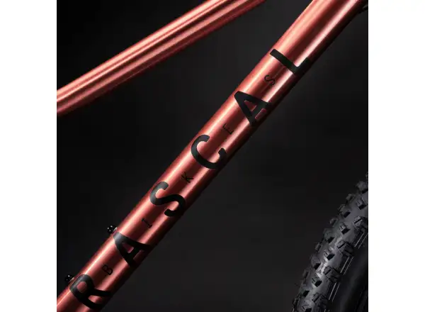 Rascal Wild 24 children's bike Bronze
