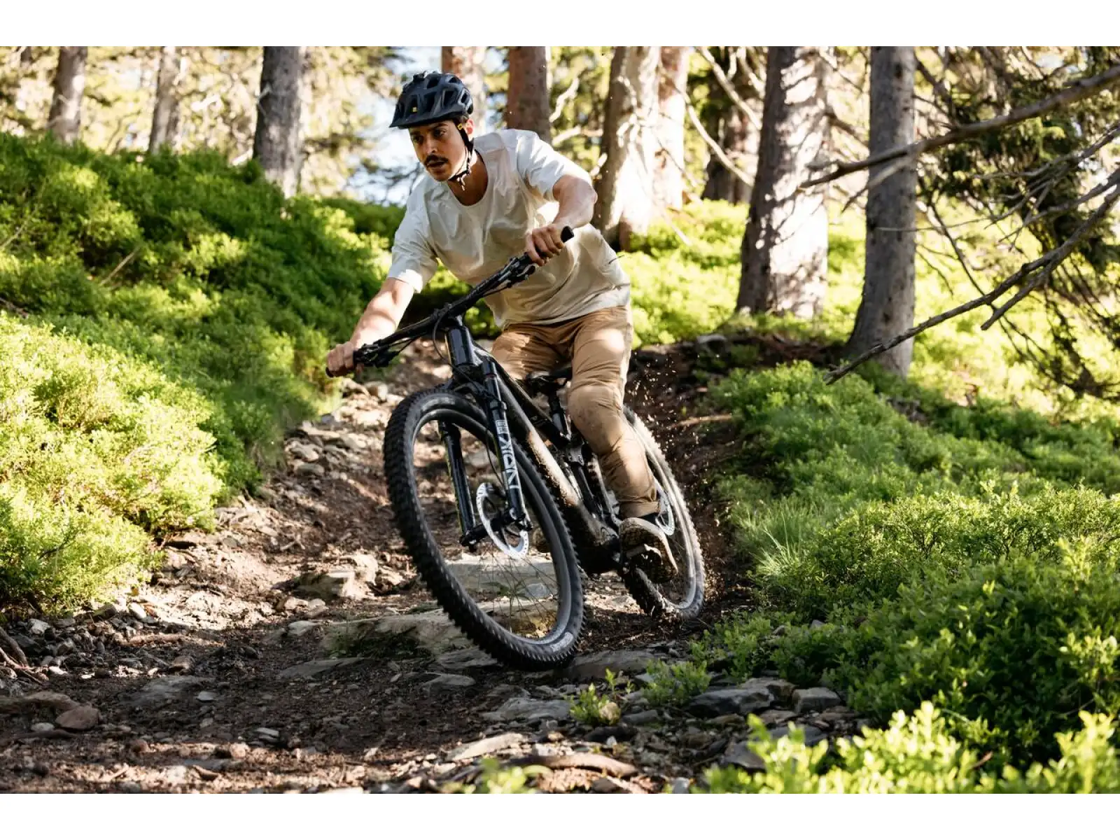 Raymon Airok full-suspension electric bike Silver Stealth/Taupe