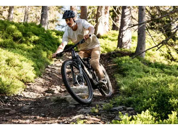 Raymon Airok full-suspension electric bike Silver Stealth/Taupe