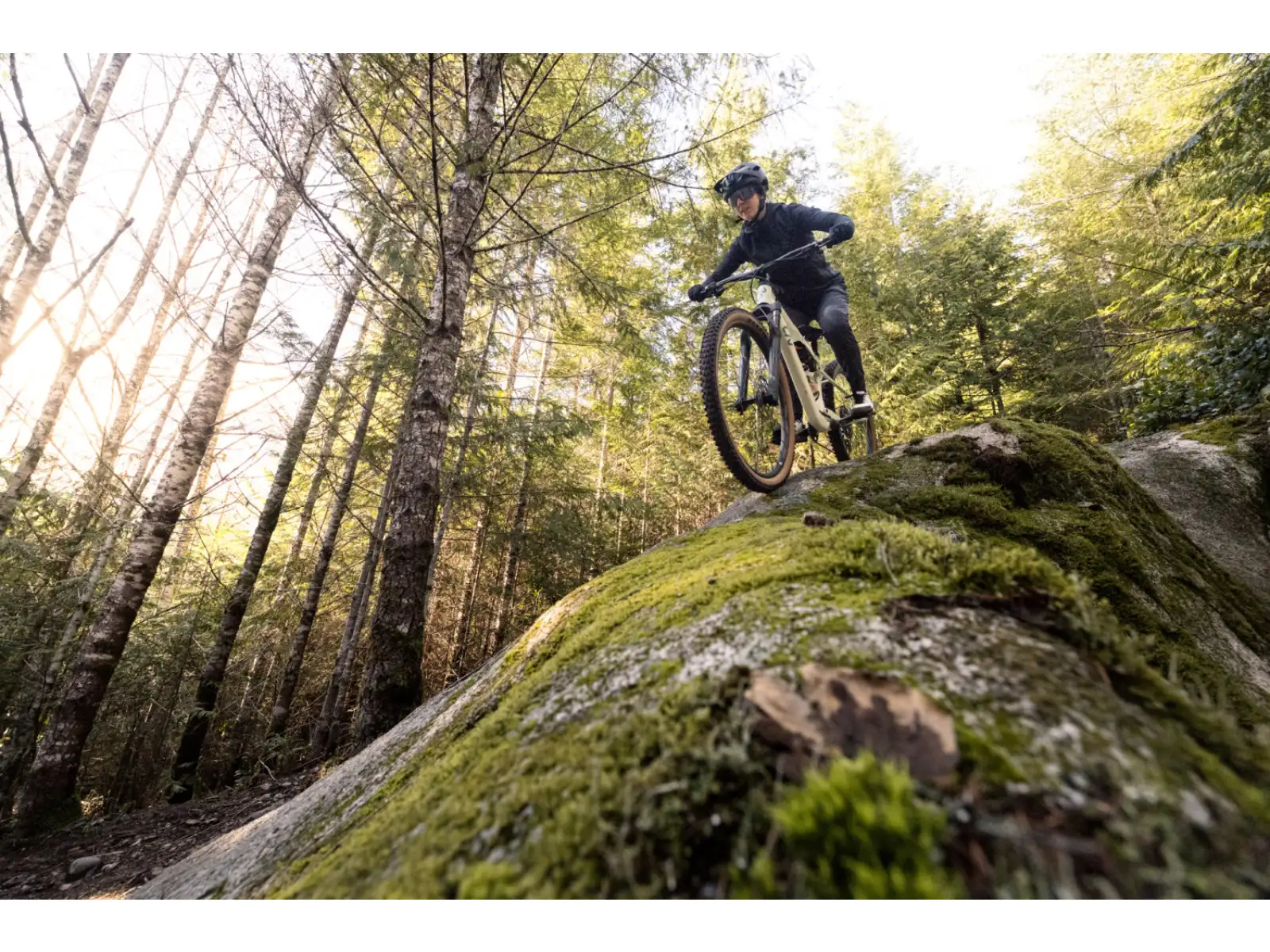 Liv Embolden 2026 mountain bike Pale Moss