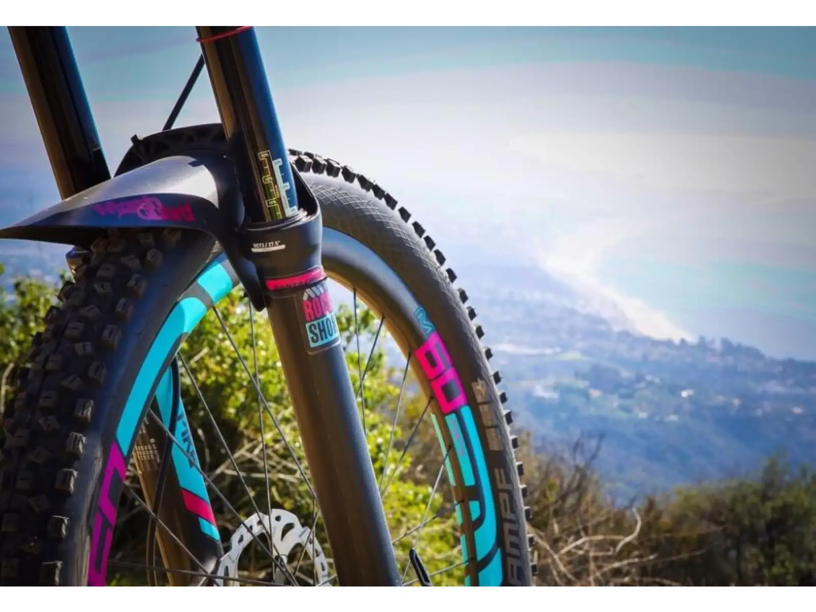 All Mountain Style fork protection stickers Clear/Silver