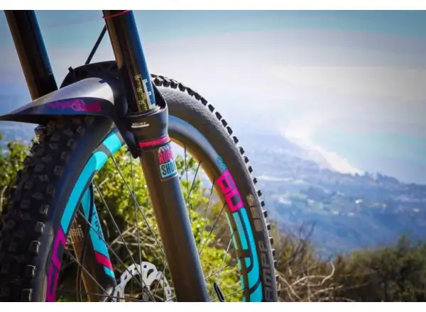 All Mountain Style fork protection stickers Clear/Silver