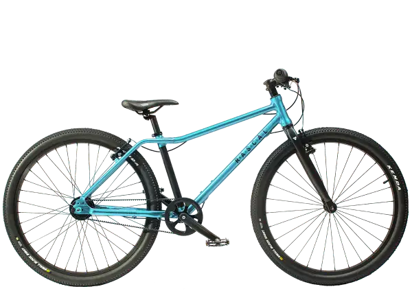 Rascal 26 7 sp. Shimano Nexus kids bike Aquamarin