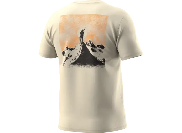 Dynafit Back Graphic Cotton men's T-shirt short sleeve Overcast/Summit