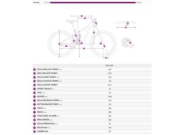 Liv Tempt E+ Junior 26 kids e-bike Milky Way