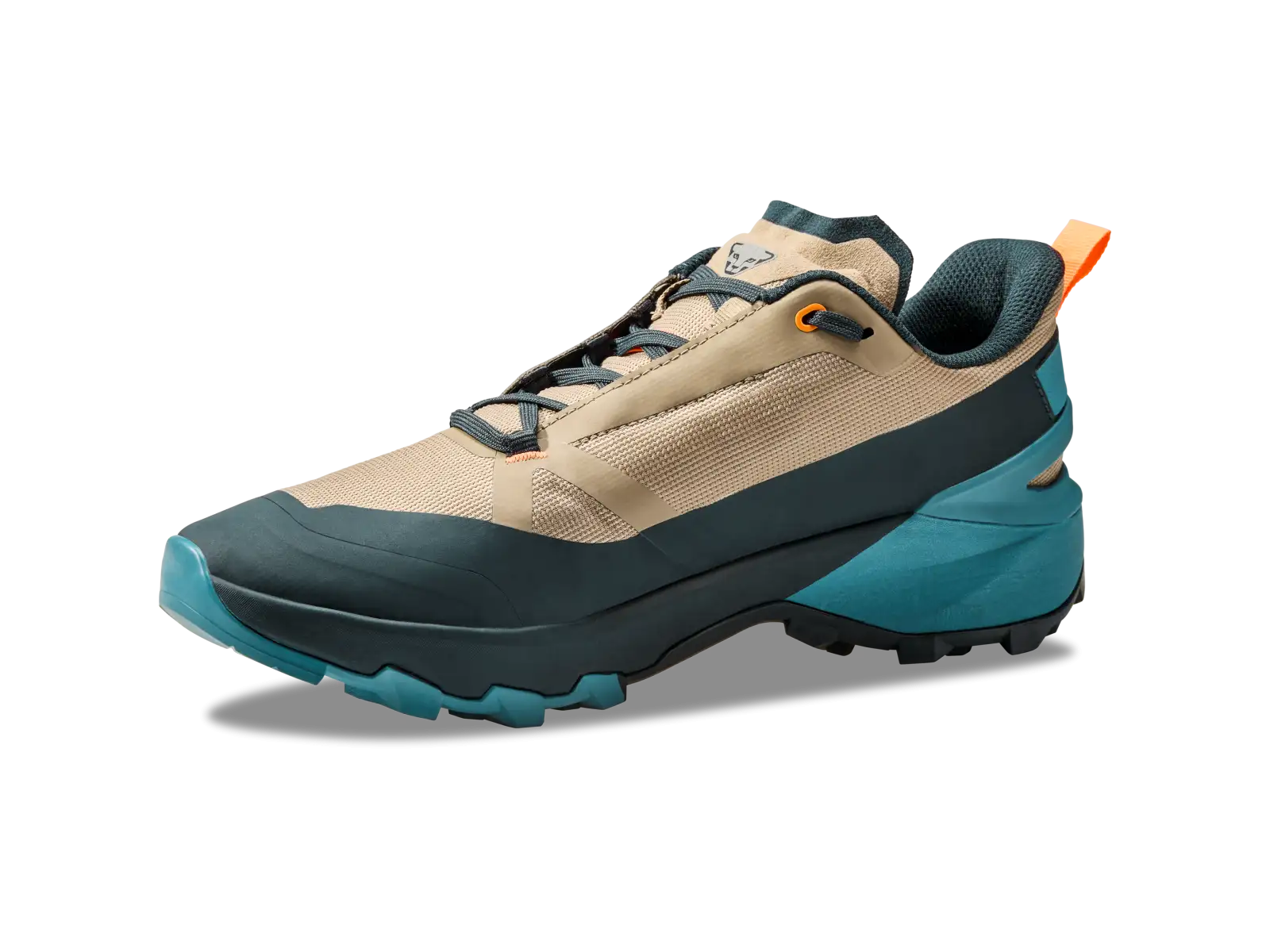 Dynafit Transalper 2 GTX men's running shoes Blueberry/Fallen Rock