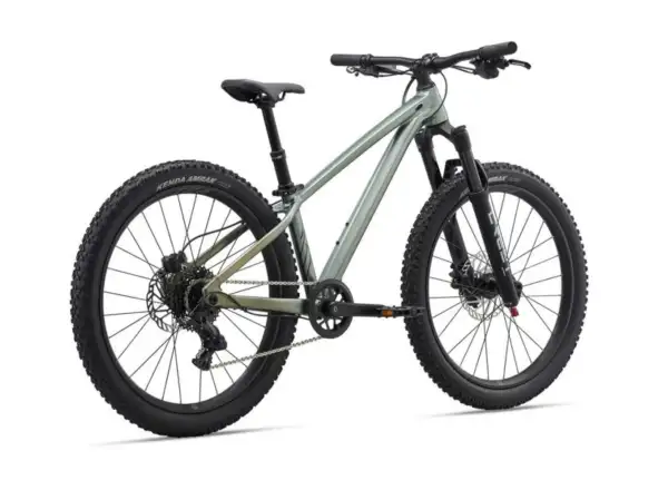 Liv STP 24 children's mountain bike Alpine Green