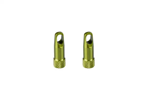 Force valve caps with key green 2 pcs