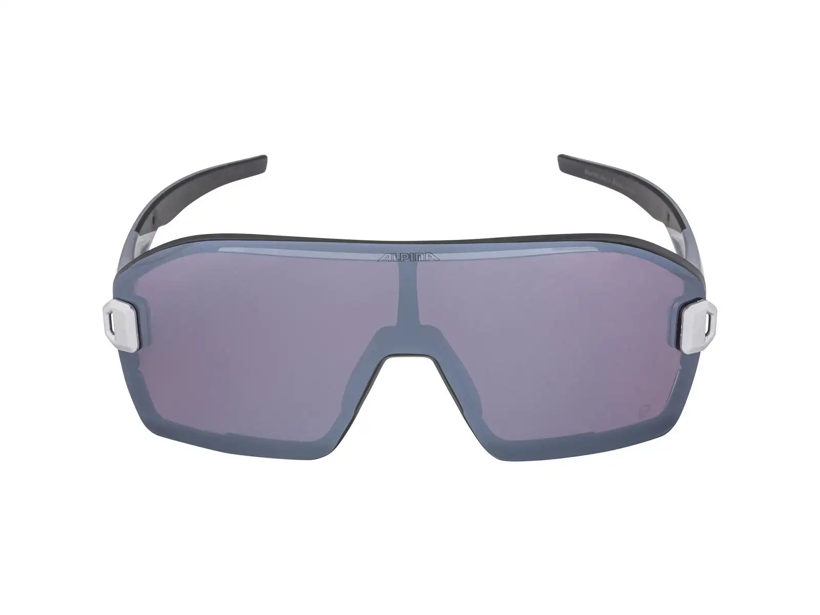 Alpina Bonfire Mag Q goggles Black Matt