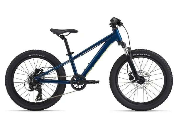 Giant STP 20 FS kids bike Blue Palace