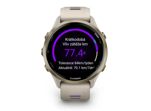 Garmin Forerunner 970 smart watch French Grey/Indigo