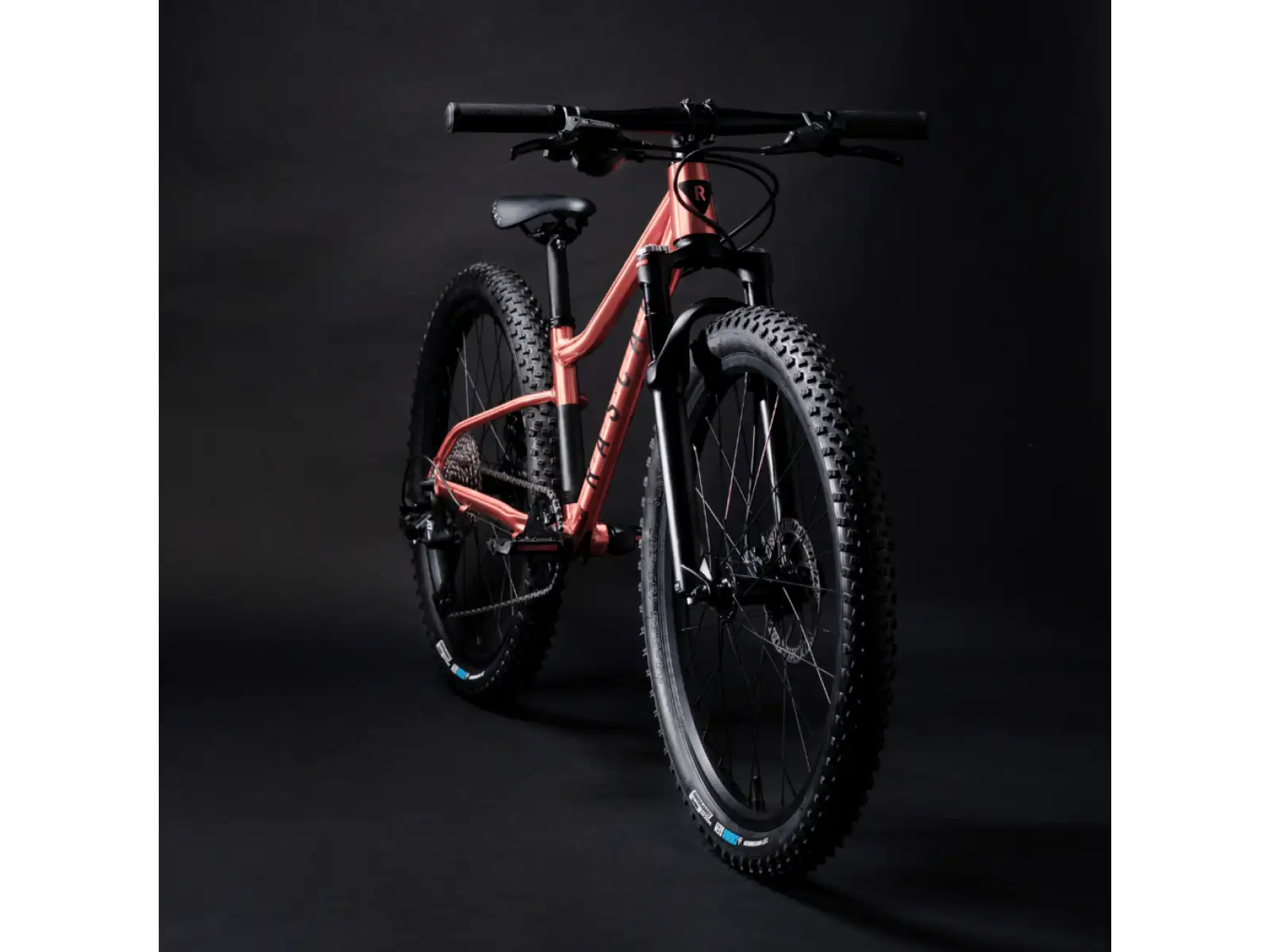 Rascal Wild 24 children's bike Bronze