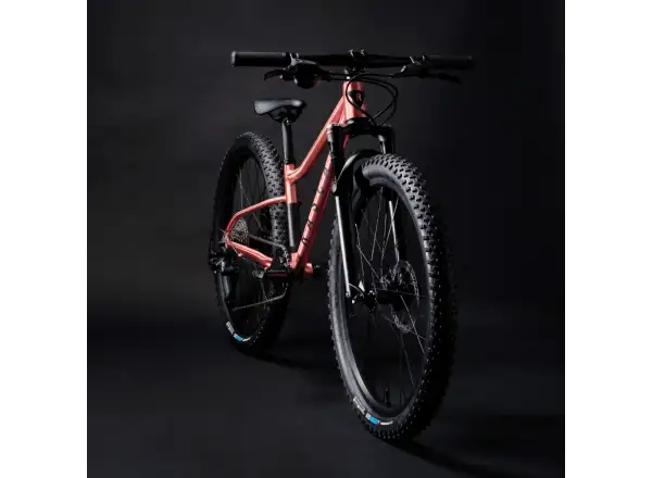 Rascal Wild 24 children's bike Bronze