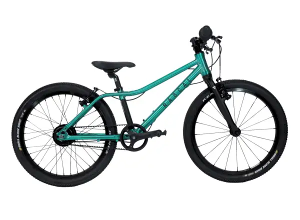 Rascal 20 Limited kids bike Emerald