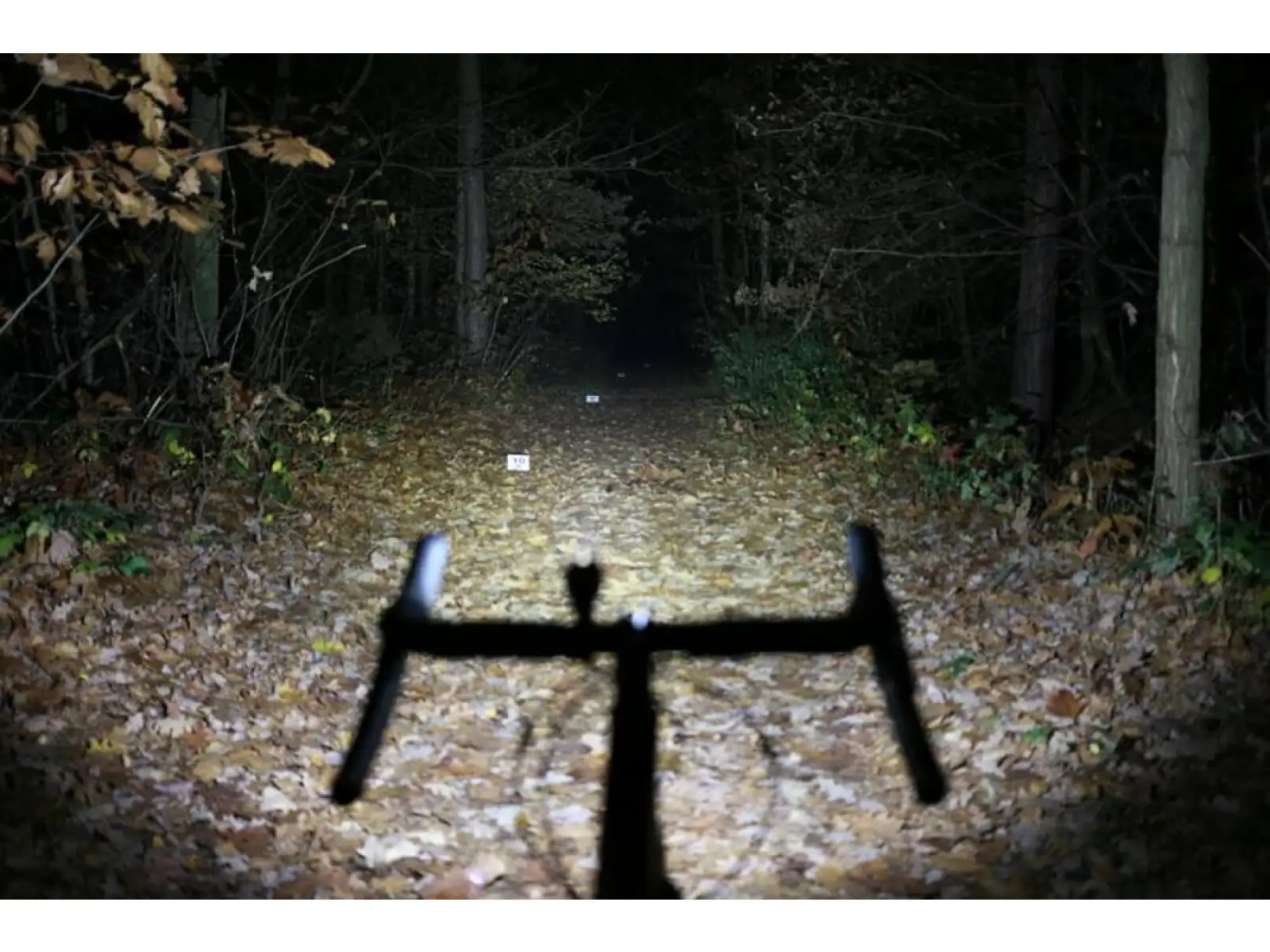 Smart Polaris 650 USB front light