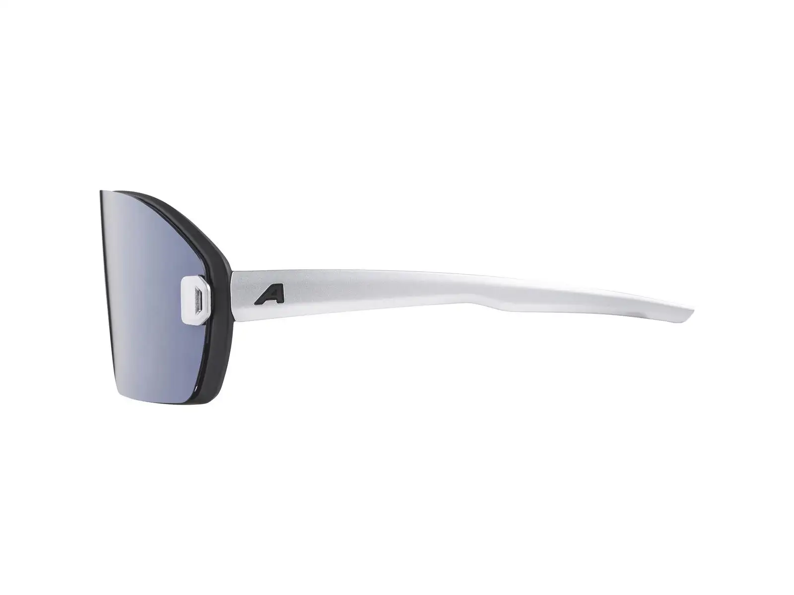 Alpina Bonfire Mag Q goggles Black Matt