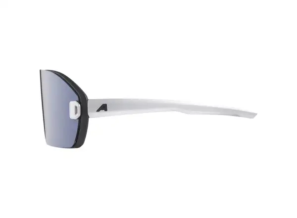 Alpina Bonfire Mag Q goggles Black Matt