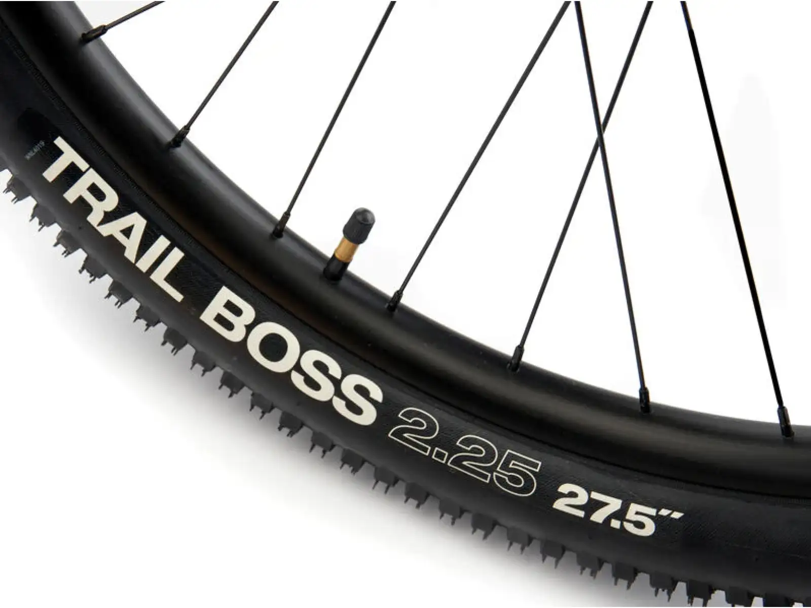 Kona 36e Fire Mountain mountain bike Blue