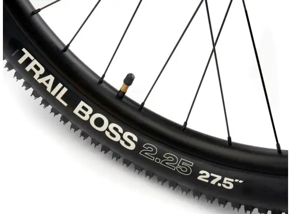 Kona 36e Fire Mountain mountain bike Blue