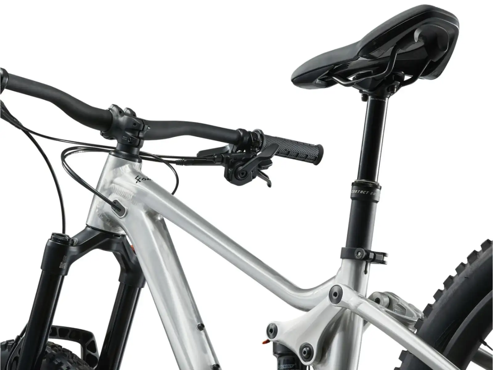Giant Faith 24 children's full suspension bike Raw Aluminium