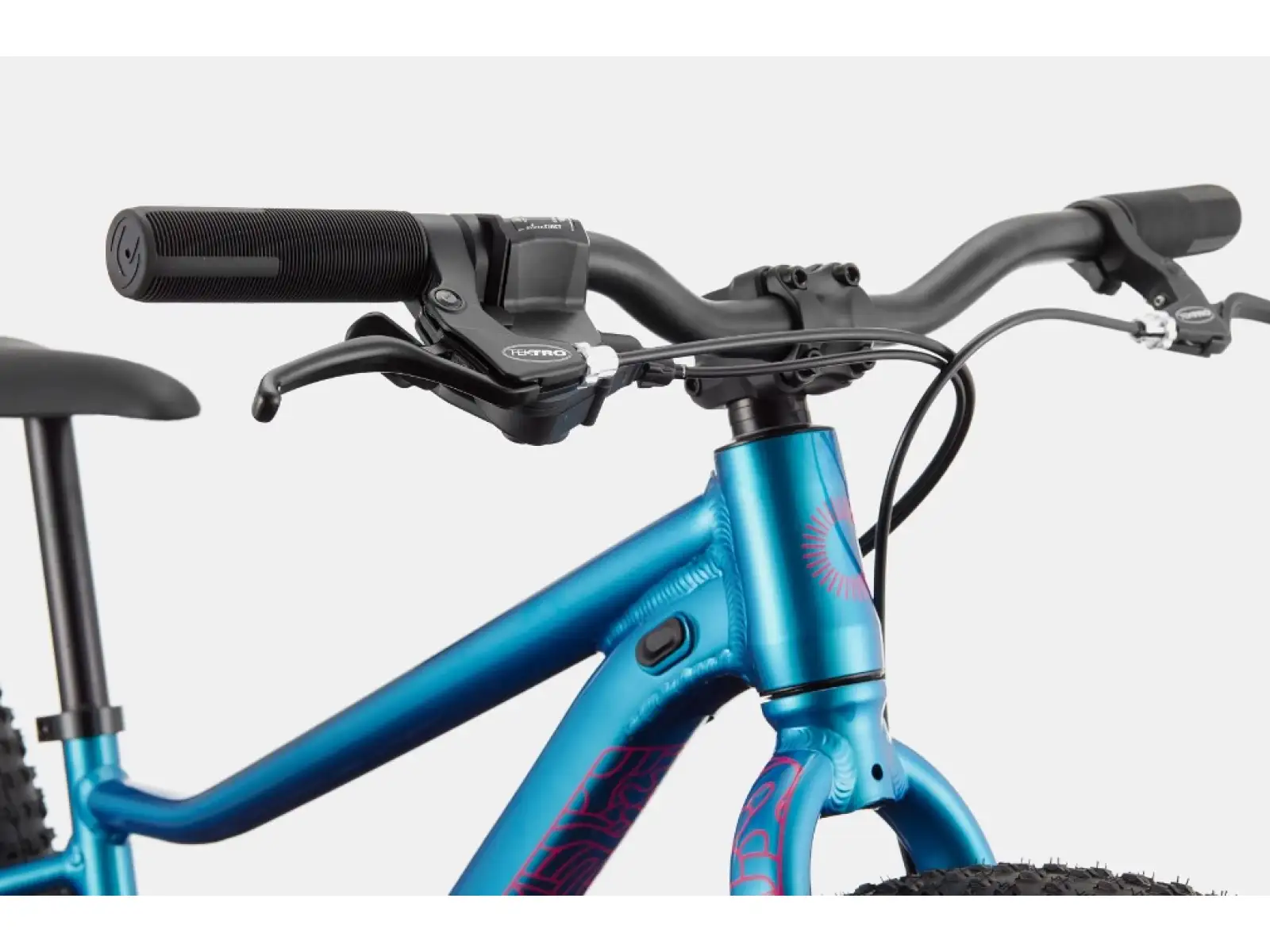 Cannondale Kids Trail Plus 24" children's bike Deep Teal