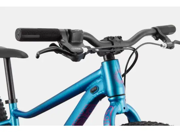 Cannondale Kids Trail Plus 24" children's bike Deep Teal
