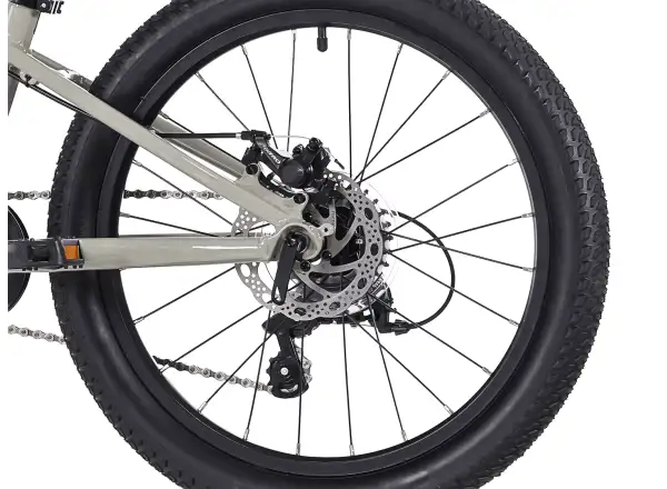 Rock Machine RIFF Tr 20 kids bike Gloss Limerock Grey