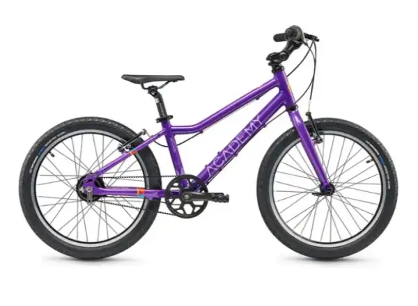 Academy Grade 4 Belt children's bike 20" purple