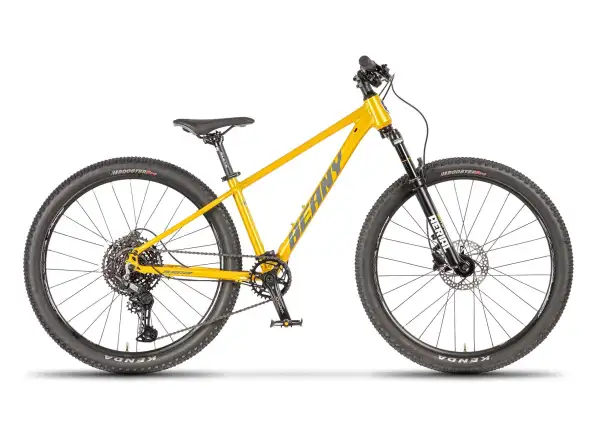 Beany Blaster 26 kids bike Gold