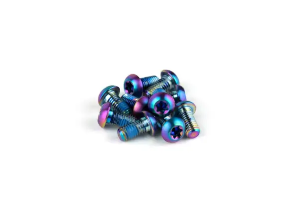 Sram Rotor Bolt Kit TI T25 Titanium 12 pcs