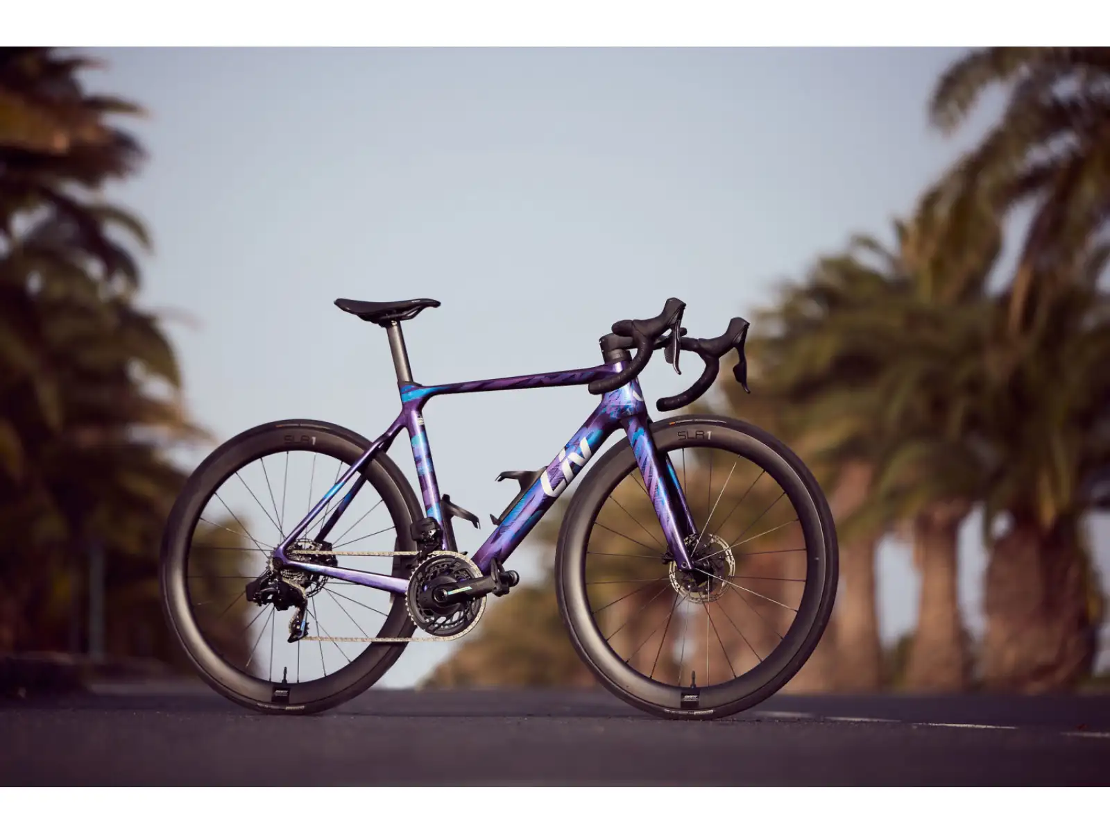 Liv EnviLiv Advanced Pro women's road bike Carbon