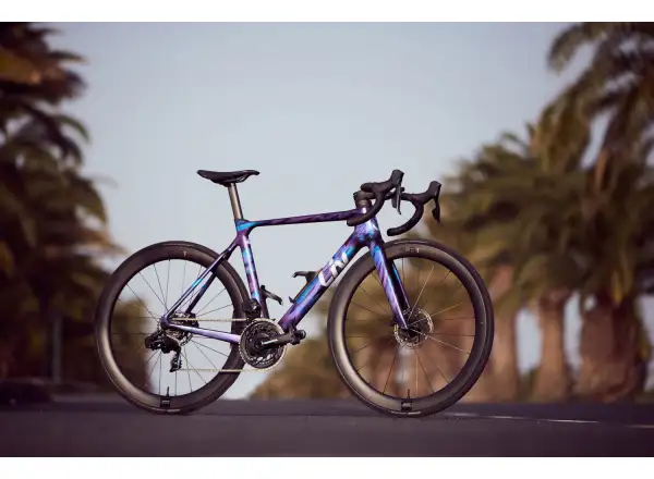 Liv EnviLiv Advanced Pro women's road bike Carbon