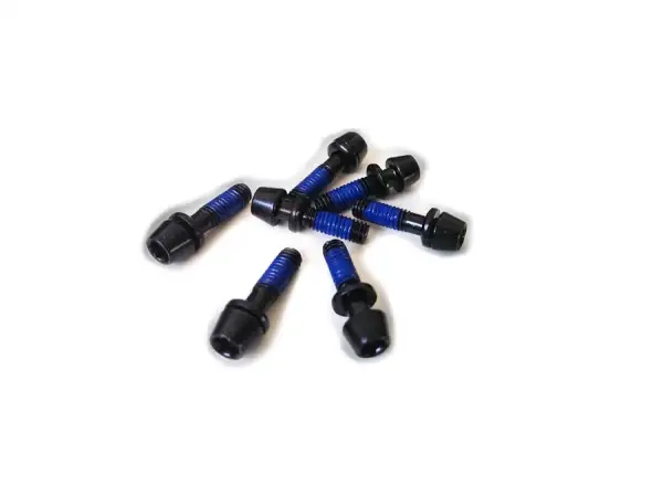 Ritchey screw for C260 stem 1pc