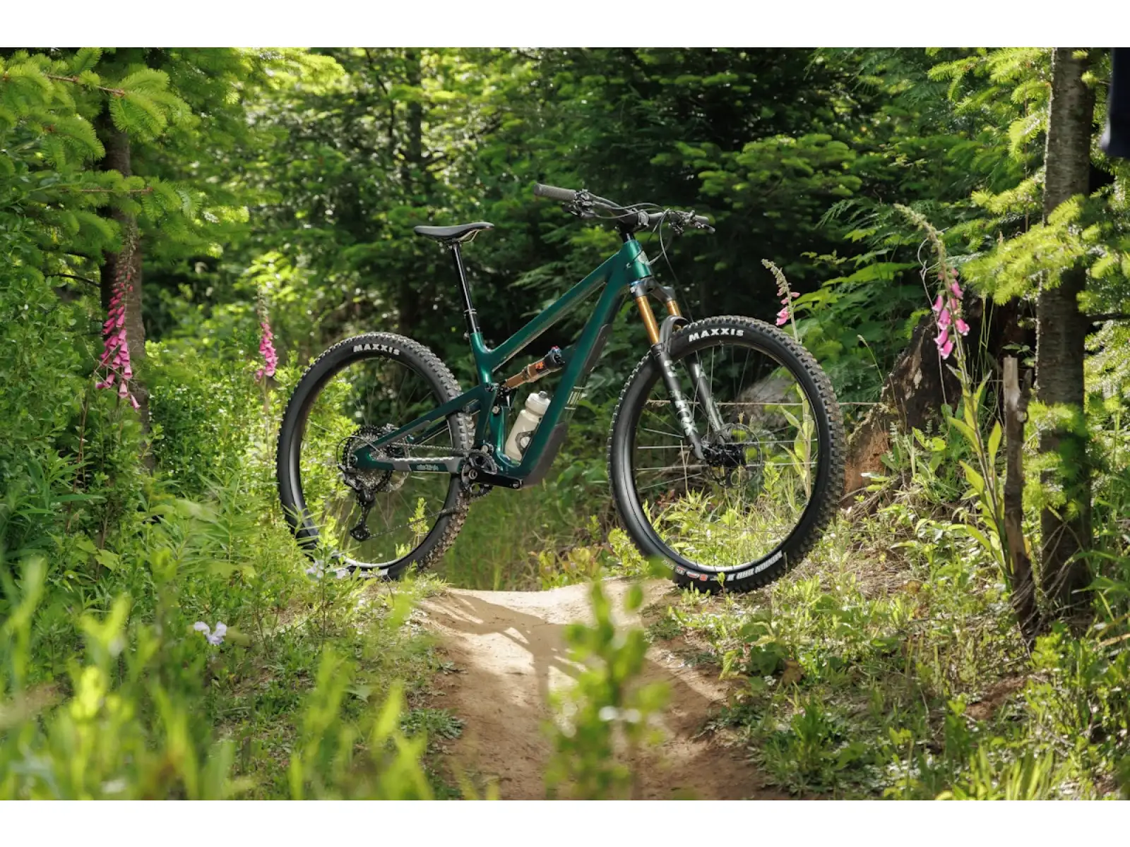 Ibis Ripley V5 GX T-Type AXS mountain bike Green Flash