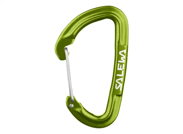 Salewa Hot G3 Wire carabiner Fluo Green