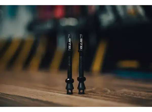 WTB TCS Max-Flow tubeless valves 44 mm black 2 pcs